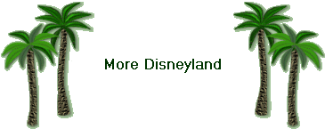More Disneyland