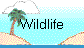 Wildlife